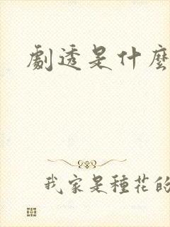 剧透是什么意思