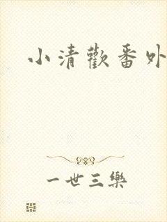 小清欢番外封面