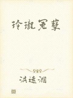 玲珑冤孽封面