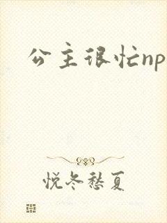 公主很忙npc