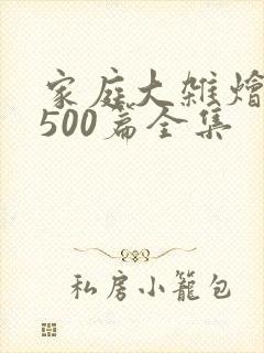 家庭大杂烩小说500篇全集封面