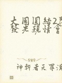 大团圆结2闪闪发光亲情会