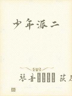 少年派二