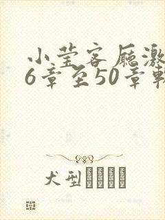 小莹客厅激情46章至50章软件介绍