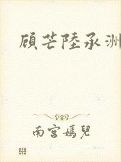 顾芒陆承洲