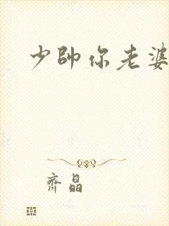 少帅你老婆