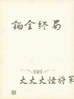 铂金终局