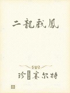 二龙戏凤
