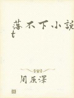 落不下小说txt
