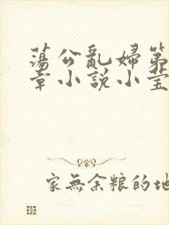荡公乱妇第51章小说小莹