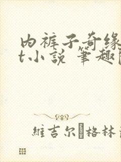 内裤子奇缘txt小说 笔趣阁