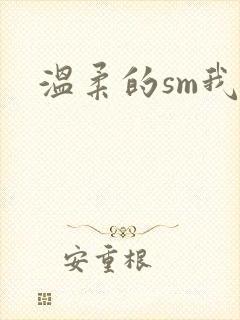温柔的sm我