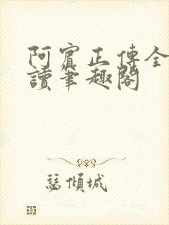 阿宾正传全文阅读笔趣阁