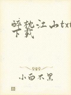 醉枕江山txt下载