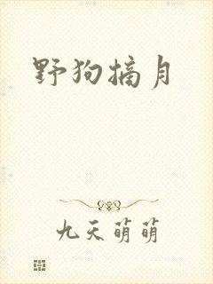 野狗摘月封面