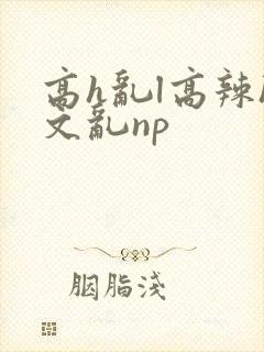 高h乱l高辣h文乱np