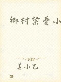 乡村禁爱小说封面