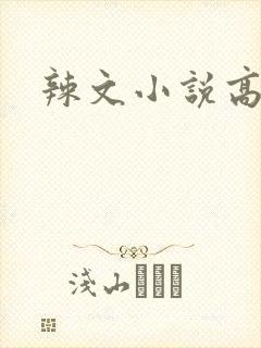 辣文小说高h封面