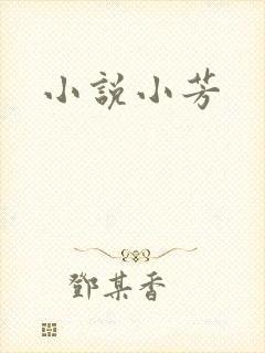 小说小芳