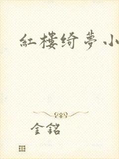 红楼绮梦小说