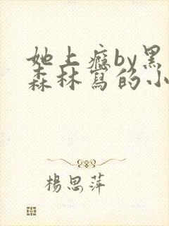 她上瘾by黑暗森林写的小说免费阅读无弹窗封面