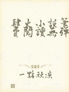 肆火小说笔趣免费阅读无弹窗