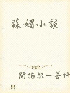 苏媚小说封面