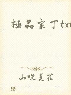 极品家丁txt