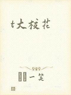 t大校花