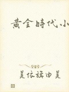 黄金时代小说