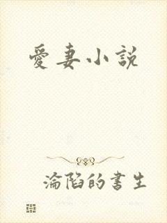 爱妻小说