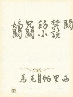 嫡兄的禁阙 华阙阙小说封面