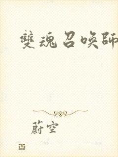 双魂召唤师