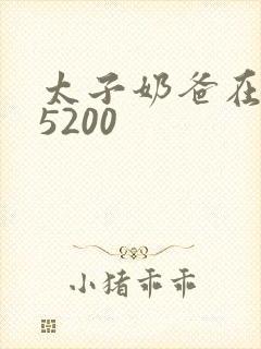 太子奶爸在花都5200