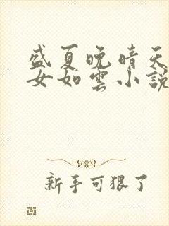 盛夏晚晴天之美女如云小说封面