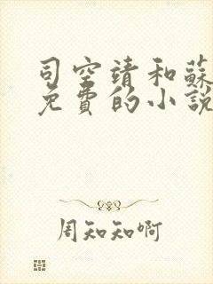 司空靖和苏月汐免费的小说笔趣阁封面