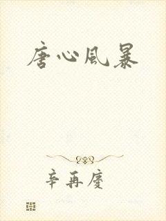 唐心风暴
