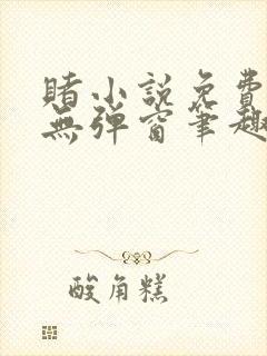 赌小说免费阅读无弹窗笔趣阁封面