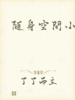 随身空间小说