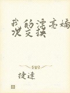 我的漂亮娇妻初次交换