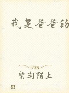 我是爸爸的玩具封面
