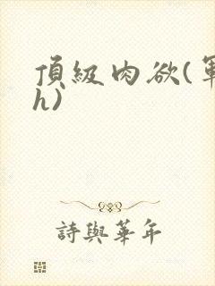 顶级肉欲(军高h)