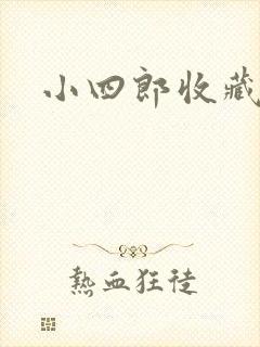 小四郎收藏家封面