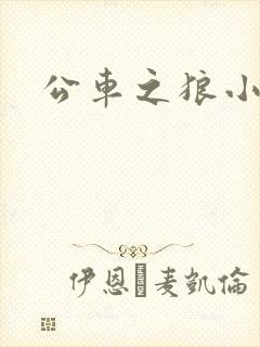 公车之狼小说封面