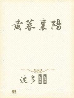 黄蓉襄阳