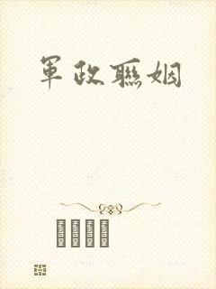 军政联姻
