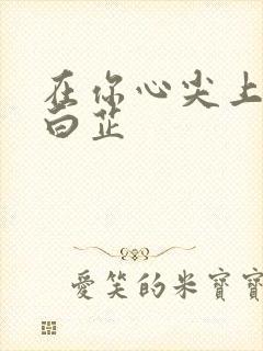 在你心尖上起舞白芷封面