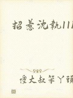 招惹沈执11h