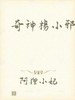 奇神杨小邪