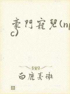豪门宠儿(npc)